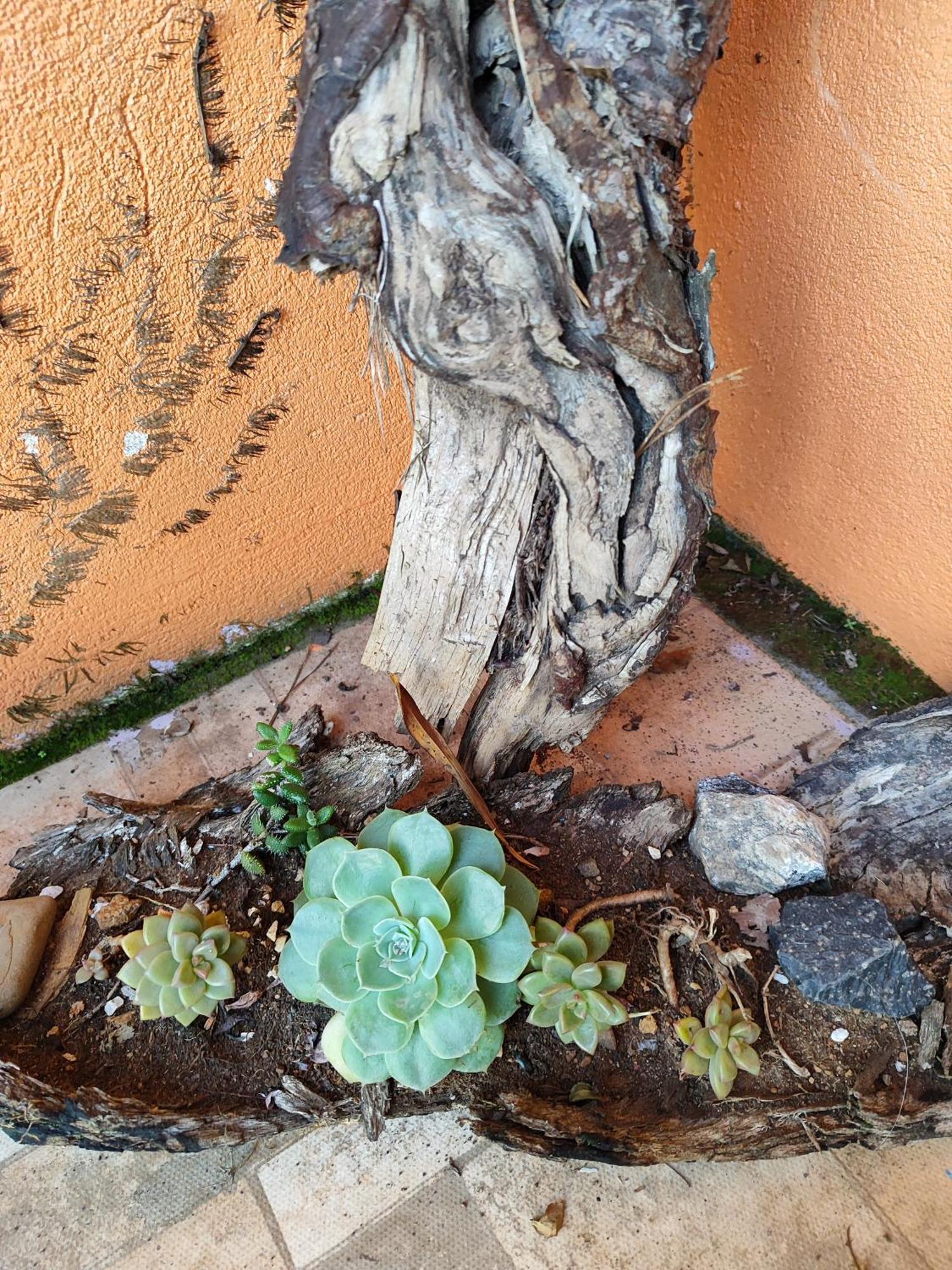 Vila Ecologica Cambara Luaran gambar